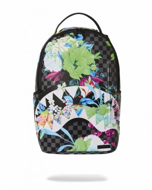 Multicolor Men's Sprayground Gala After Party Backpacks | AIGQ71802