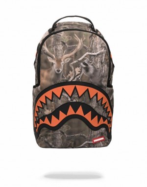 Multicolor Men's Sprayground Wild Life Backpacks | KNJQ42159