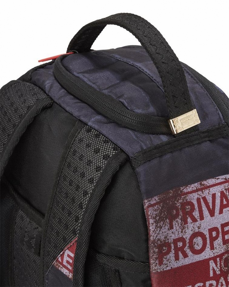 Blue Green Men's Sprayground Private Property Backpacks | TBPC31682