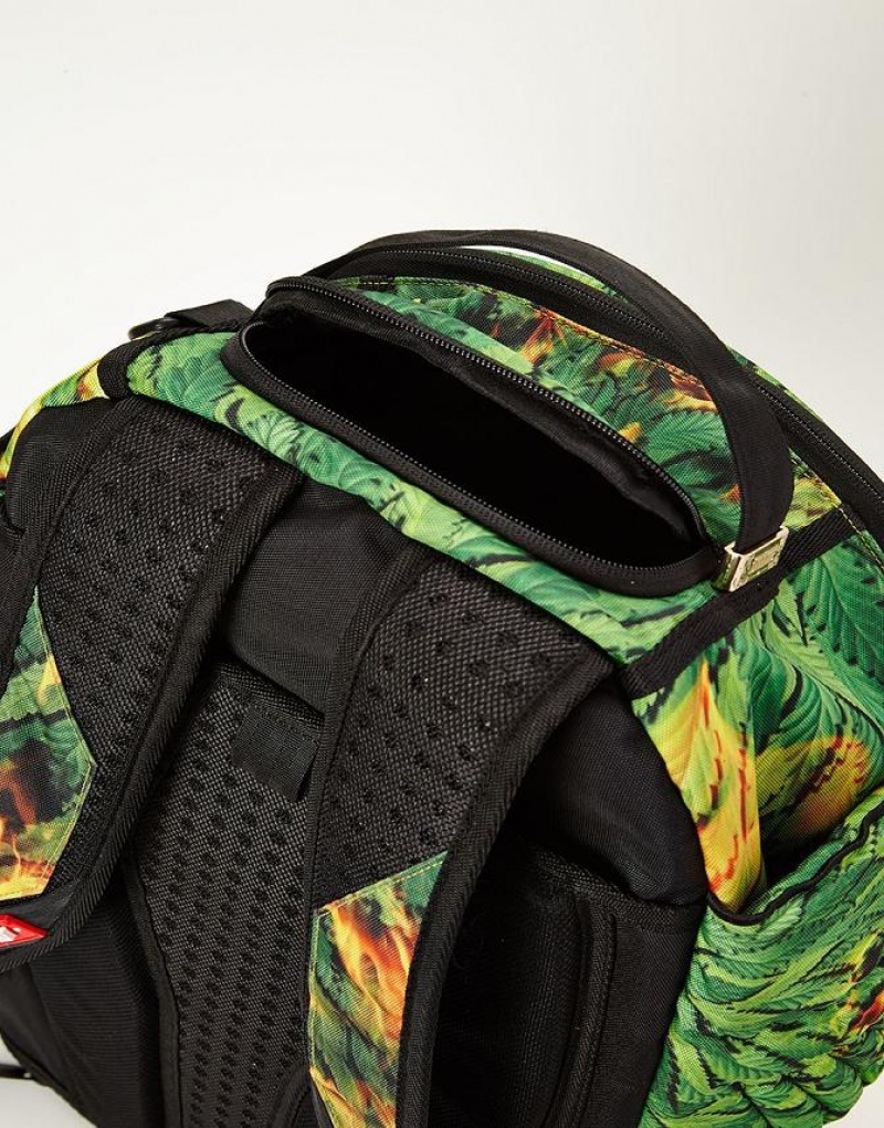 Green Men's Sprayground Wings Of Paradise Backpacks | LHRD67240