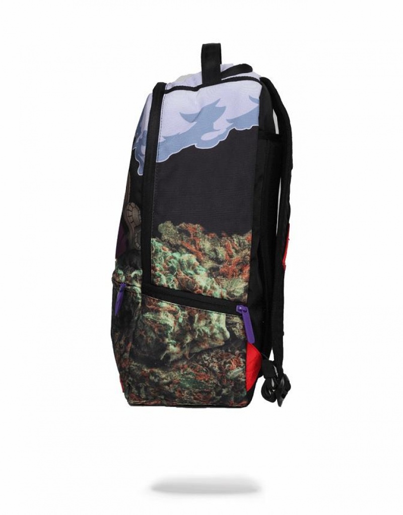 Multicolor Men's Sprayground Purple Haze Ganja Bear Backpacks | NAUJ92435