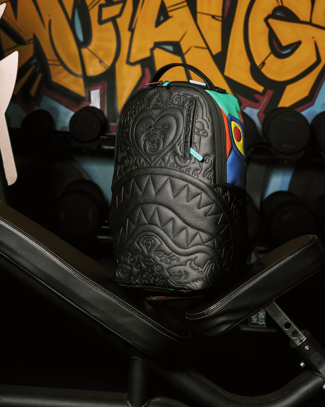 BEYOND THE DREAM BACKPACK - Image 2