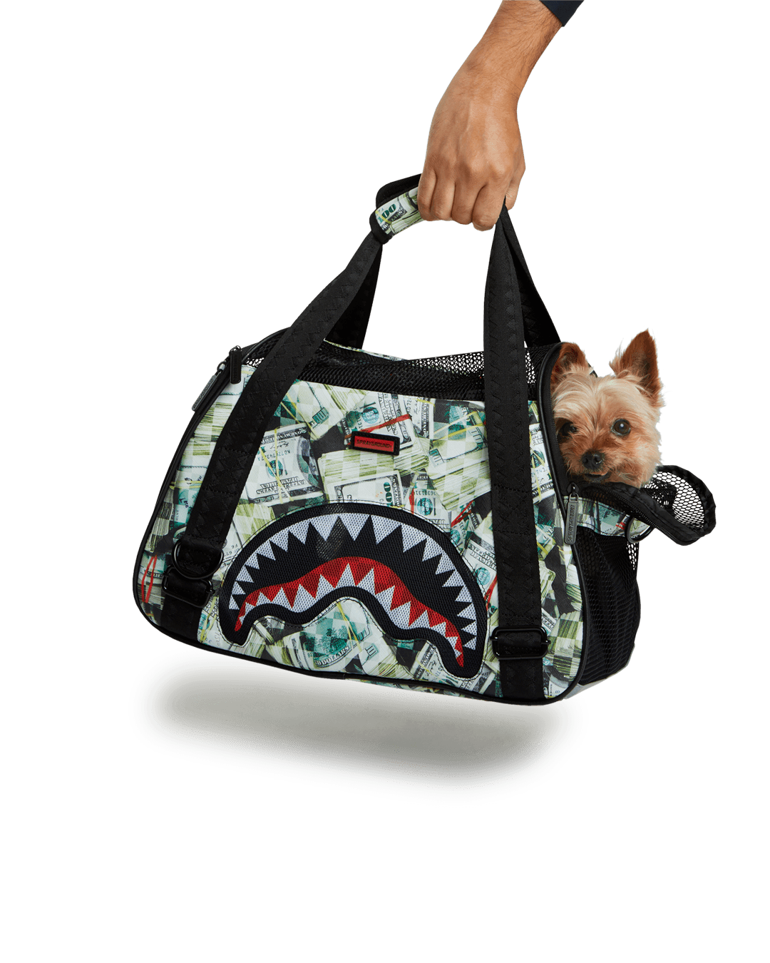 MAMA I MADE IT PET CARRIER - Image 8
