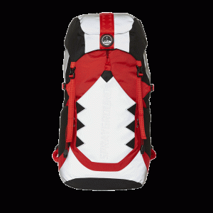 SKY HIGH SEEKERS ARCTIC GLOBAL TREK CAMPER BACKPACK