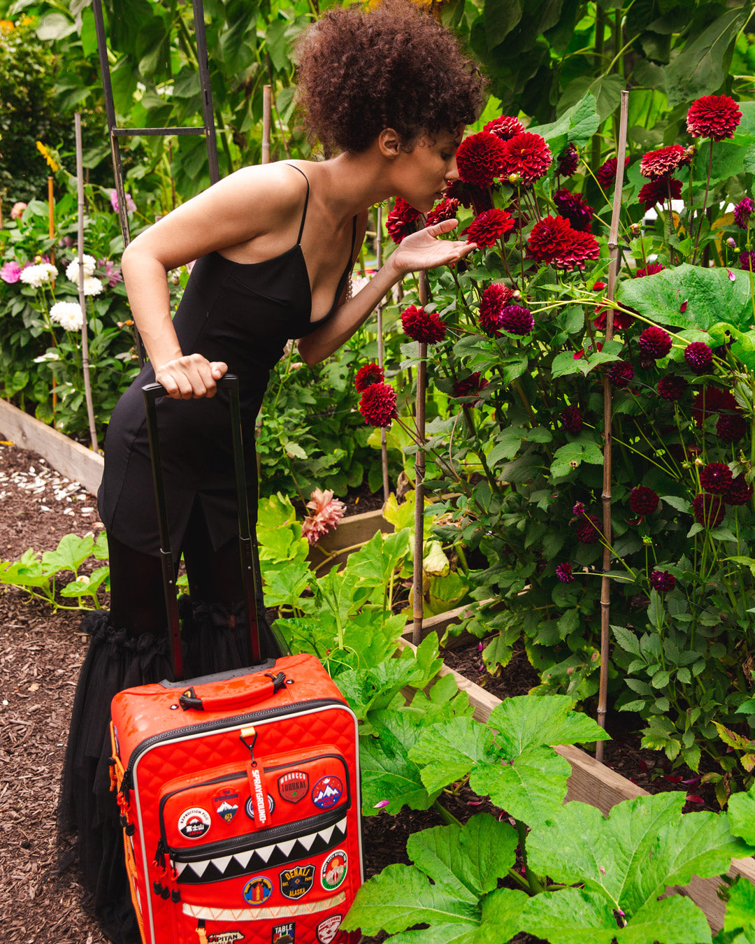 THE GLOBAL EXPEDITION JETSETTER CARRY-ON LUGGAGE - Image 5