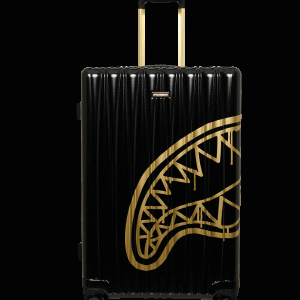 GOLD FANG FULL-SIZE LUGGAGE