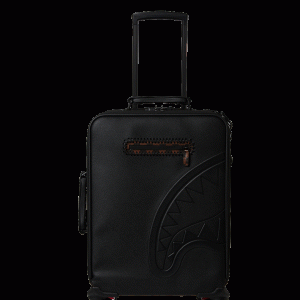 CHECKPOINT ROYALE CARRY-ON LUGGAGE