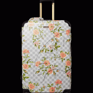A.I. AFRICAN INTELLIGENCE ELEGANT ENERGY SHARKITECTURE FULL SIZE LUGGAGE ?C SANDFLOWER COLLAB