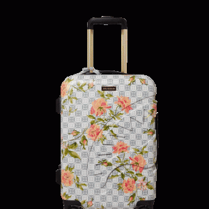 A.I. AFRICAN INTELLIGENCE ELEGANT ENERGY SHARKITECTURE CARRY-ON LUGGAGE ?C SANDFLOWER COLLAB